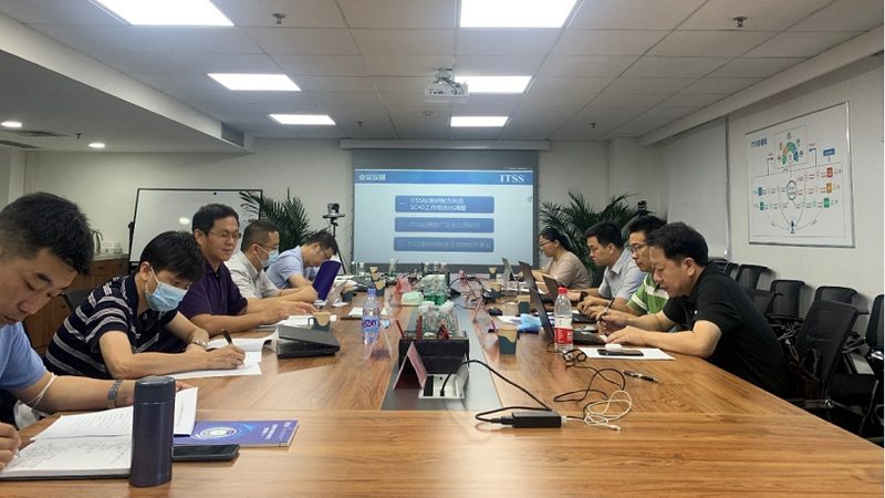 成都IT外包与自建团队：如何权衡选择**